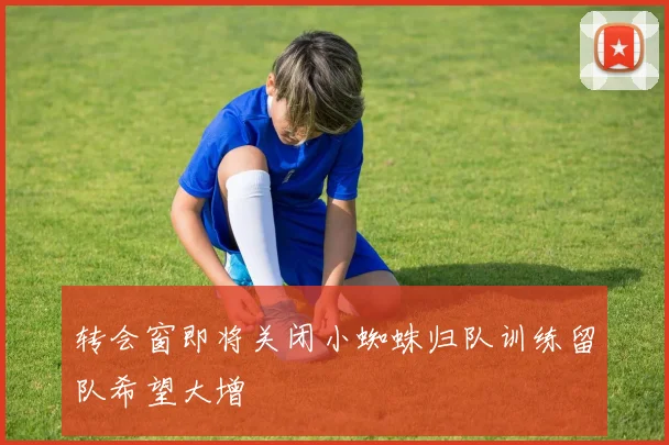 转会窗即将关闭小蜘蛛归队训练留队希望大增